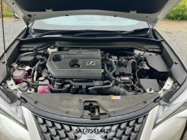 Lexus UX 2024-03 8685885-26