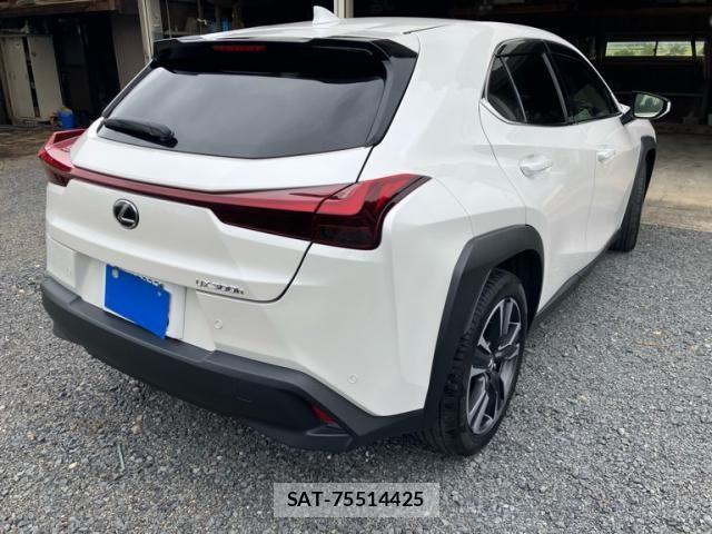 Lexus UX 2024-03 8685885-4