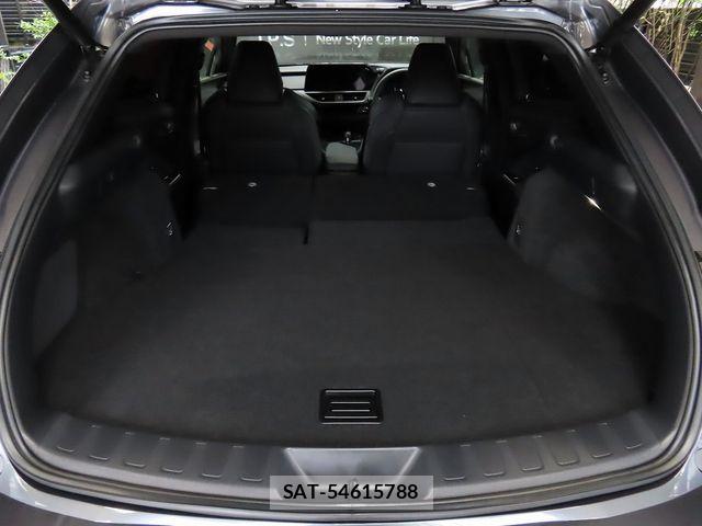 Lexus UX 2024-10 8743546-25