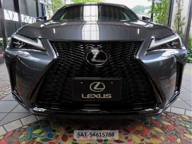 Lexus UX 2024-10 8743546-3