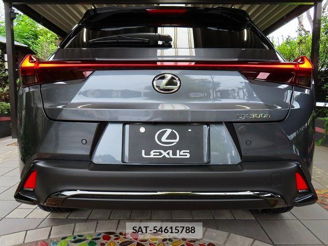 Lexus UX 2024-10 8743546-5