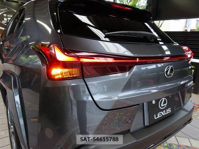 Lexus UX 2024-10 8743546-6