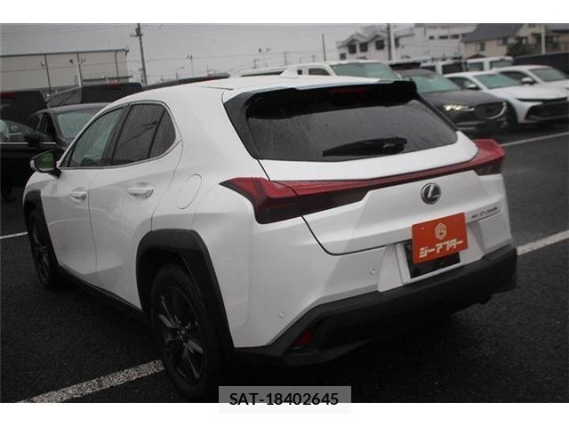 Lexus UX 2024-03 8743548-13