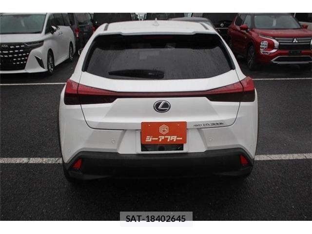 Lexus UX 2024-03 8743548-14