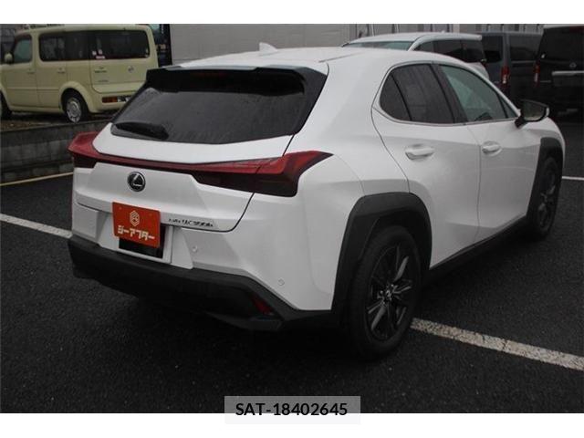 Lexus UX 2024-03 8743548-15