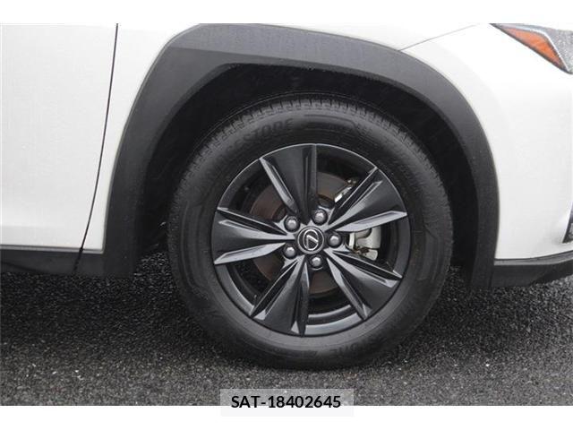 Lexus UX 2024-03 8743548-17