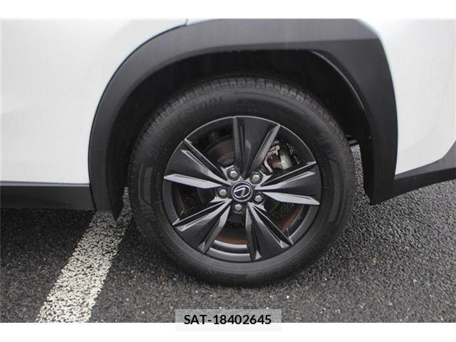 Lexus UX 2024-03 8743548-19