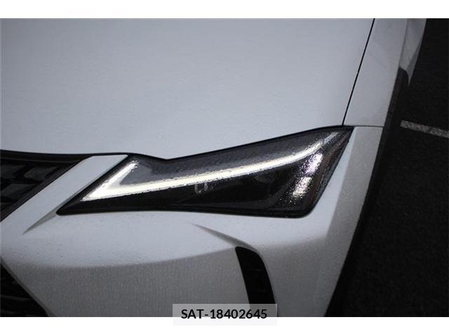 Lexus UX 2024-03 8743548-21