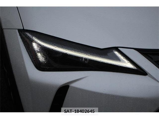 Lexus UX 2024-03 8743548-23
