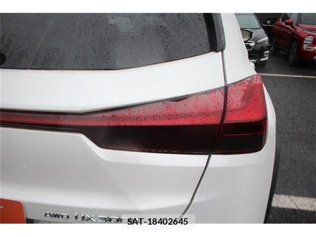 Lexus UX 2024-03 8743548-29
