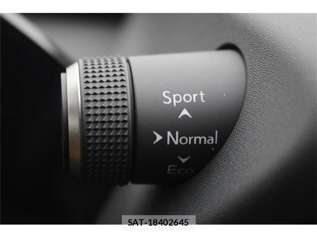 Lexus UX 2024-03 8743548-8