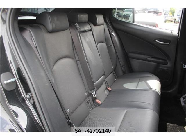Lexus UX 2024-04 8796531-19