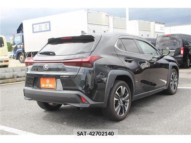 Lexus UX 2024-04 8796531-28