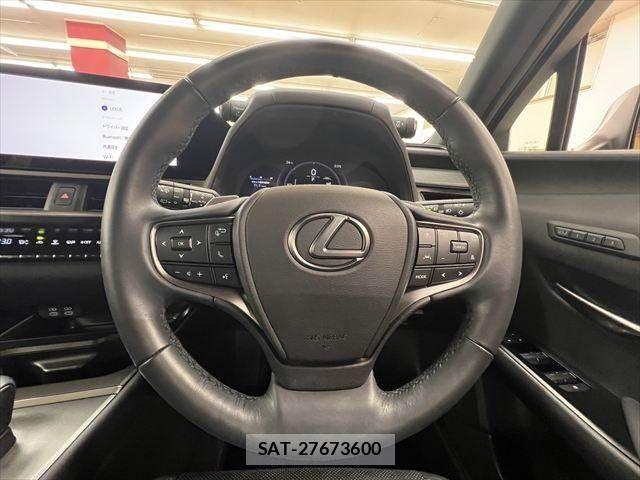 Lexus UX 2024-03 8830052-9