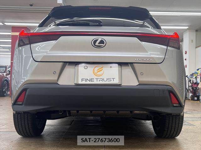 Lexus UX 2024-03 8830052-16