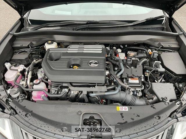 Lexus UX 2024-12 8830051-14