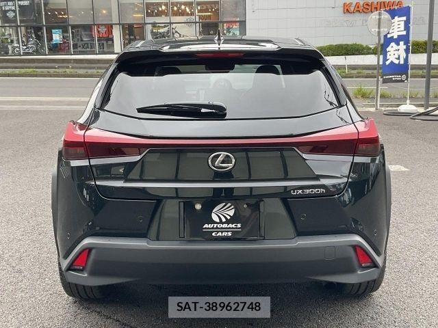 Lexus UX 2024-12 8830051-4