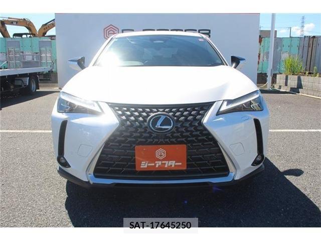 Lexus UX 2024-08 8849624-10