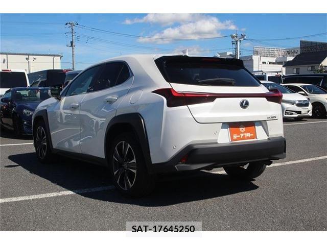 Lexus UX 2024-08 8849624-13