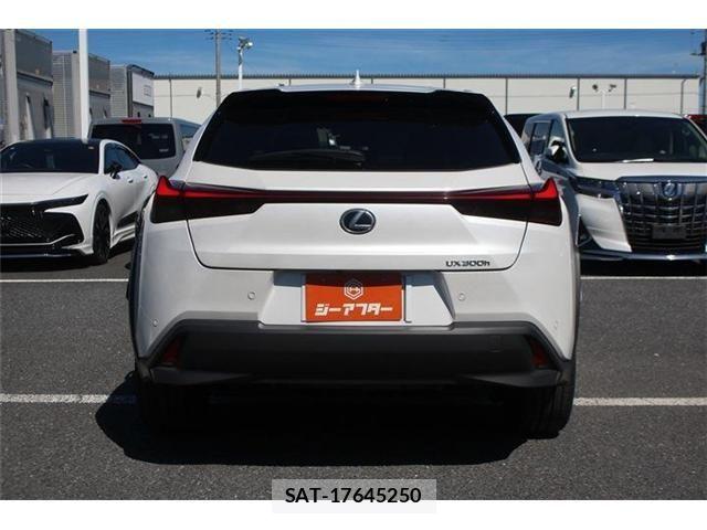 Lexus UX 2024-08 8849624-14