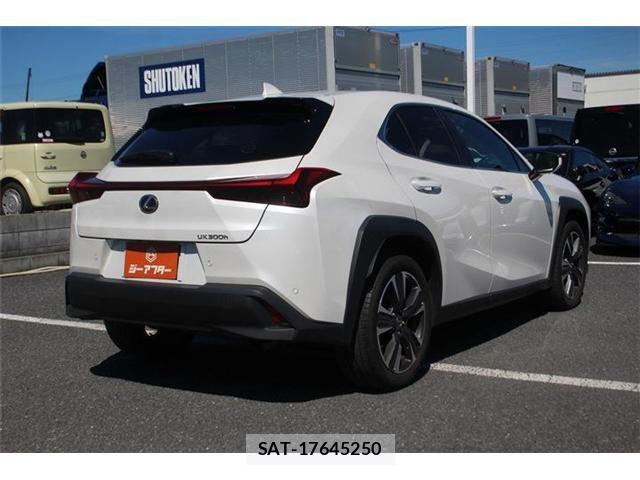 Lexus UX 2024-08 8849624-15