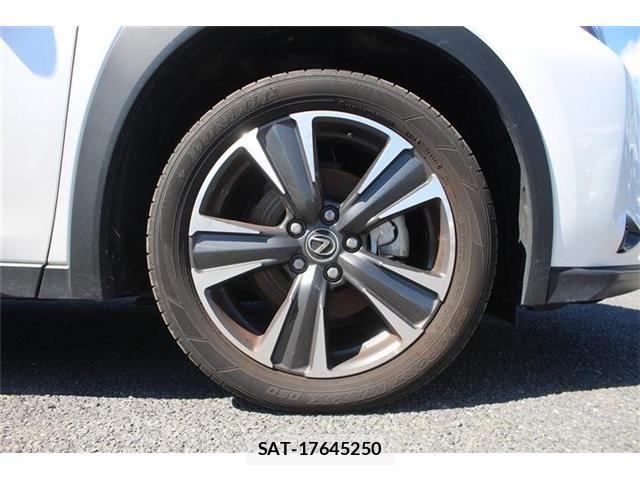 Lexus UX 2024-08 8849624-17