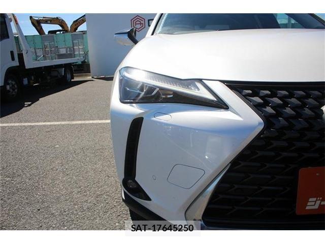 Lexus UX 2024-08 8849624-23