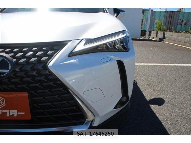 Lexus UX 2024-08 8849624-25