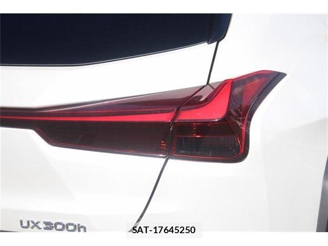 Lexus UX 2024-08 8849624-28