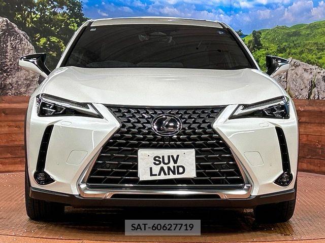Lexus UX 2025-07 8880579-13