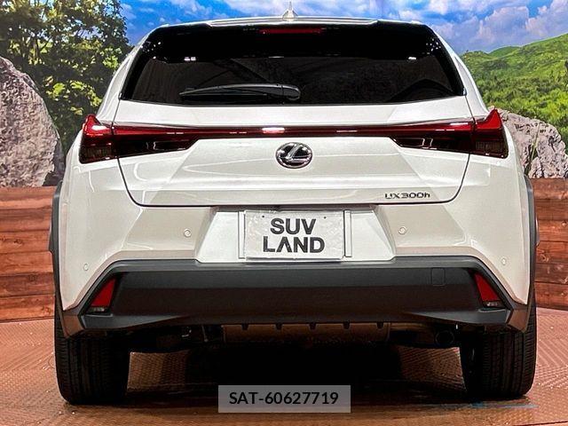 Lexus UX 2025-07 8880579-14