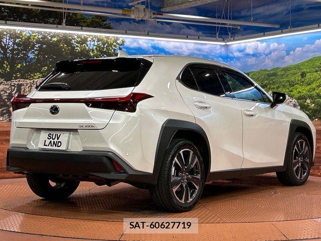 Lexus UX 2025-07 8880579-16