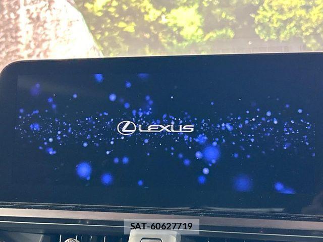 Lexus UX 2025-07 8880579-4