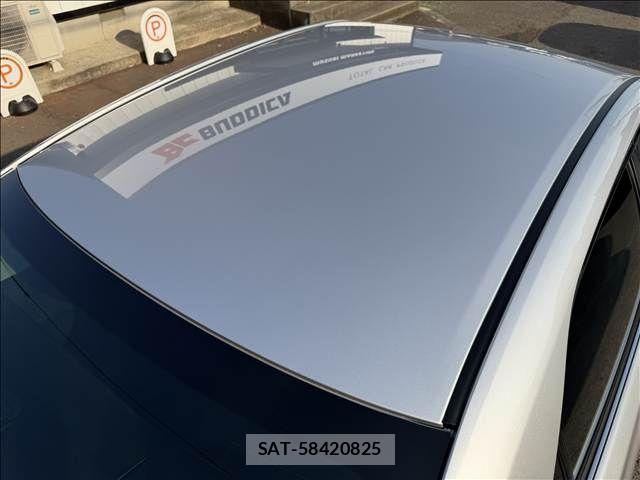 Toyota MARK X 2010-06 5871360-18