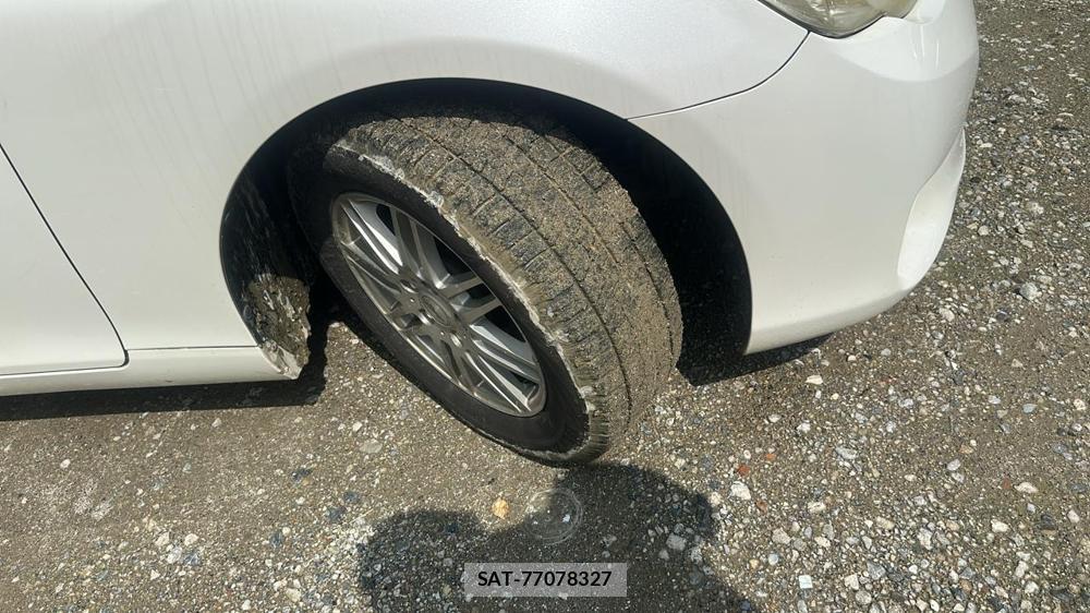 Toyota MARK X 2010 7175274-27