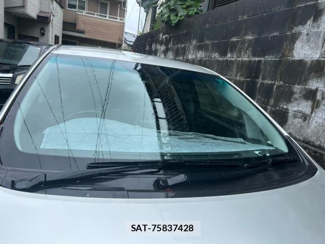 Toyota MARK X 2007-10 8131086-4