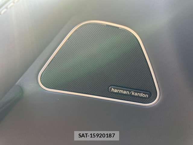 Maserati LEVANTE 2021-11 529613-4