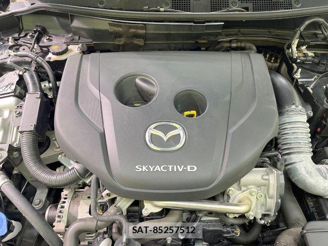 Mazda MAZDA2 2022-06 6641920-17