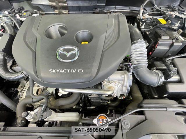 Mazda MAZDA2 2020-11 7501387-17