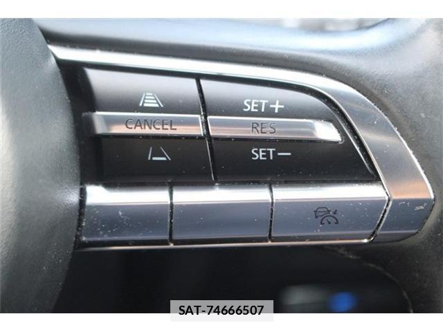 Mazda MAZDA3 2019-12 4044985-20