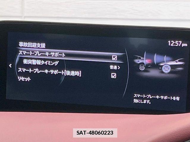Mazda MAZDA3 2019-09 4966341-6