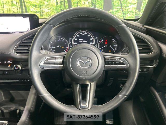 Mazda MAZDA3 2019-05 6716588-10