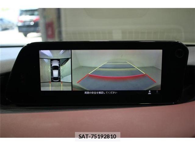 Mazda MAZDA3 2019-06 6908066-3