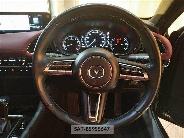 Mazda MAZDA3 2019-09 7221379-12
