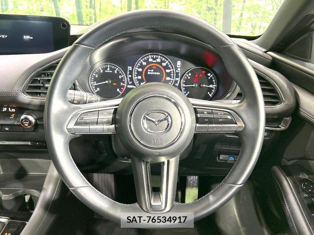 Mazda MAZDA3 2019-09 7221365-11