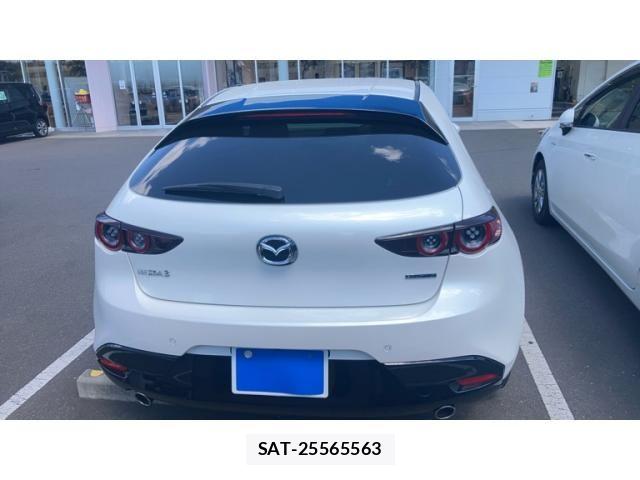 Mazda MAZDA3 2019-09 7221380-3