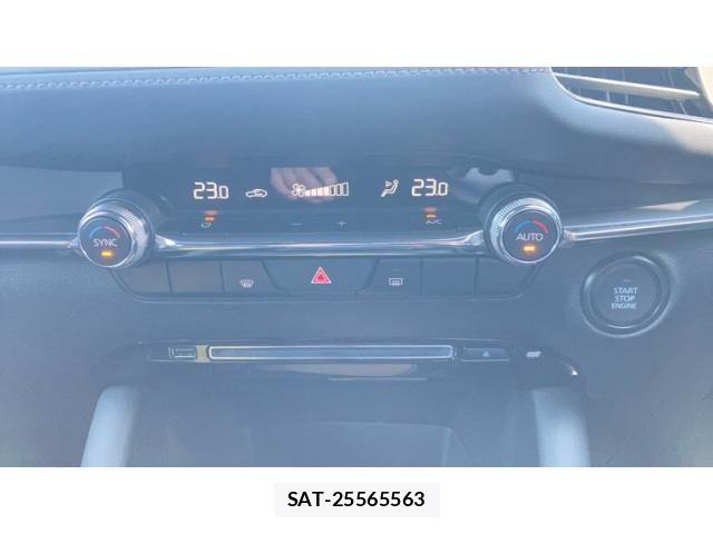Mazda MAZDA3 2019-09 7221380-7