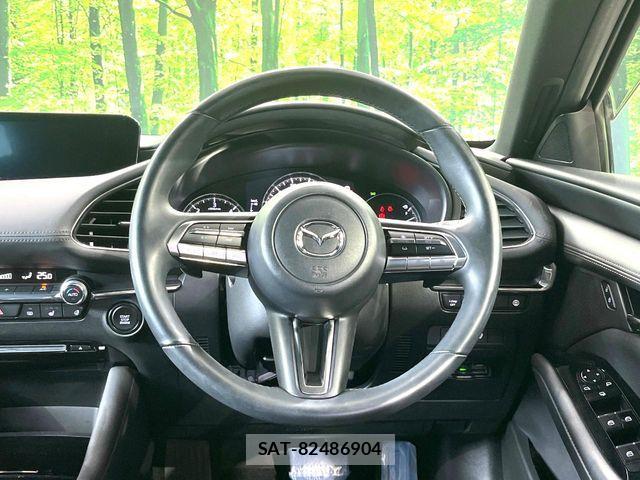 Mazda MAZDA3 2019-09 7251425-11