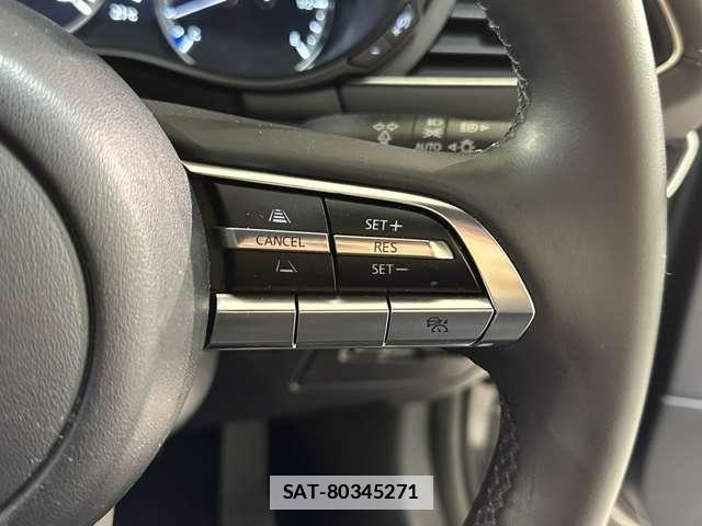 Mazda MAZDA3 2019-10 7962530-13