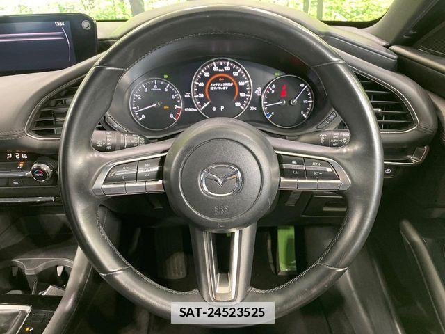 Mazda MAZDA3 2019-10 7979845-10